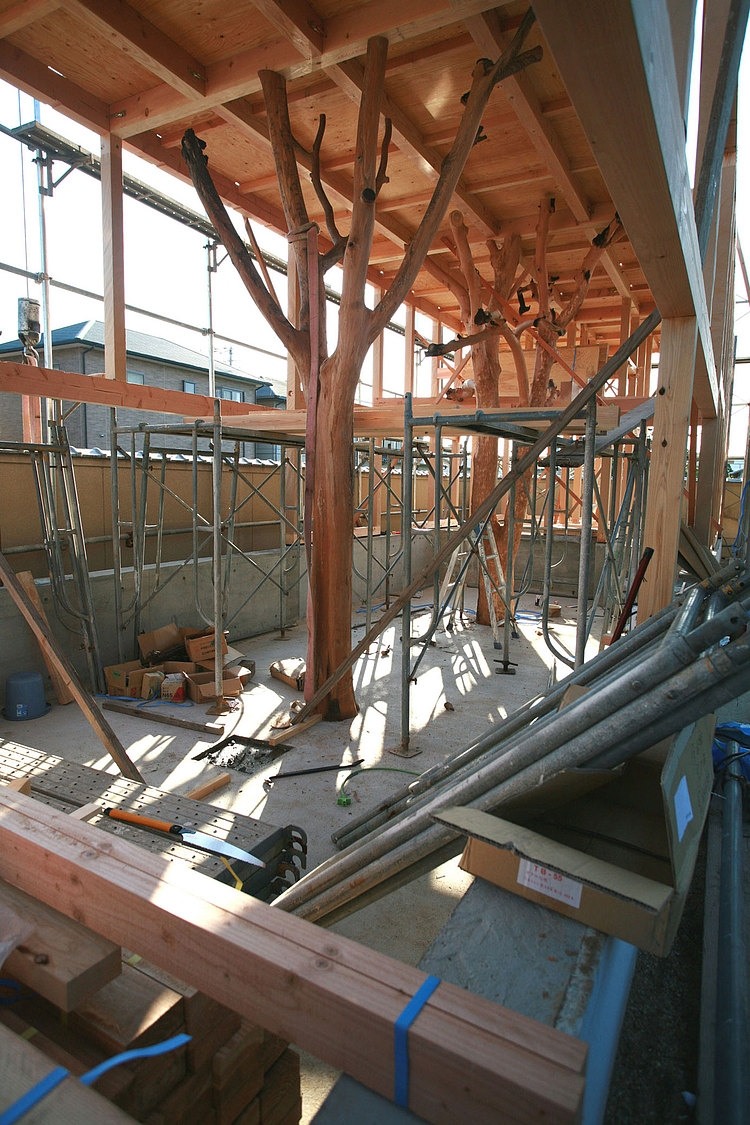 Garden Tree House by Hironaka Ogawa & Associates