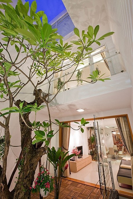 Nhabeo House by Trinhvieta-Architects