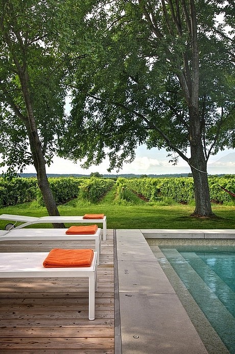 Niagara Vineyard Renovation