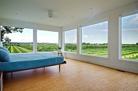 Niagara Vineyard Renovation