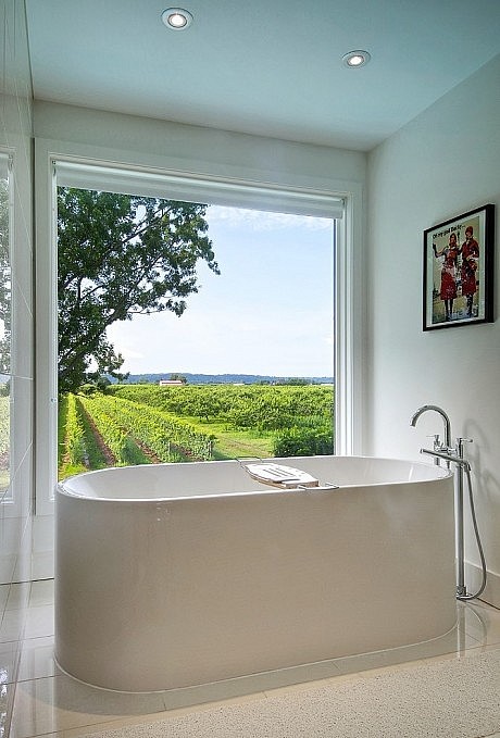 Niagara Vineyard Renovation