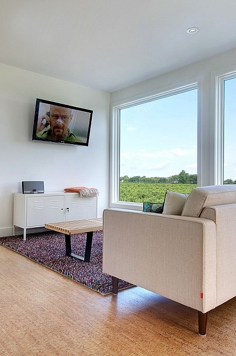 Niagara Vineyard Renovation