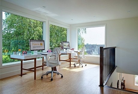 Niagara Vineyard Renovation