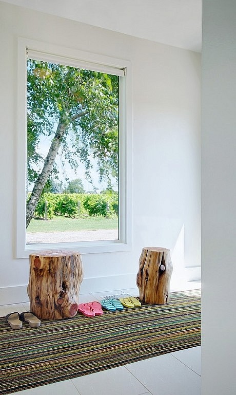 Niagara Vineyard Renovation