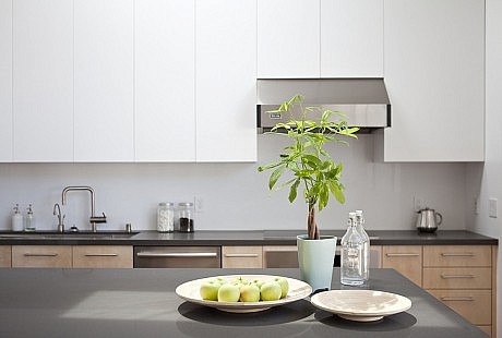 Net Zero Energy House by Klopf Architecture