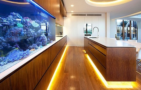 Central Beach House by Mark Gacesa