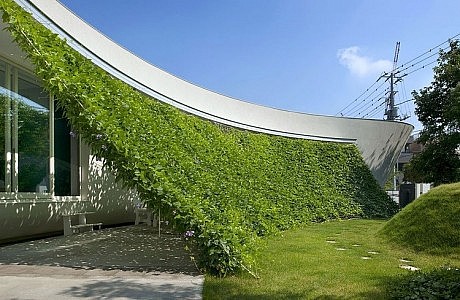 Green Screen House by Hideo Kumaki