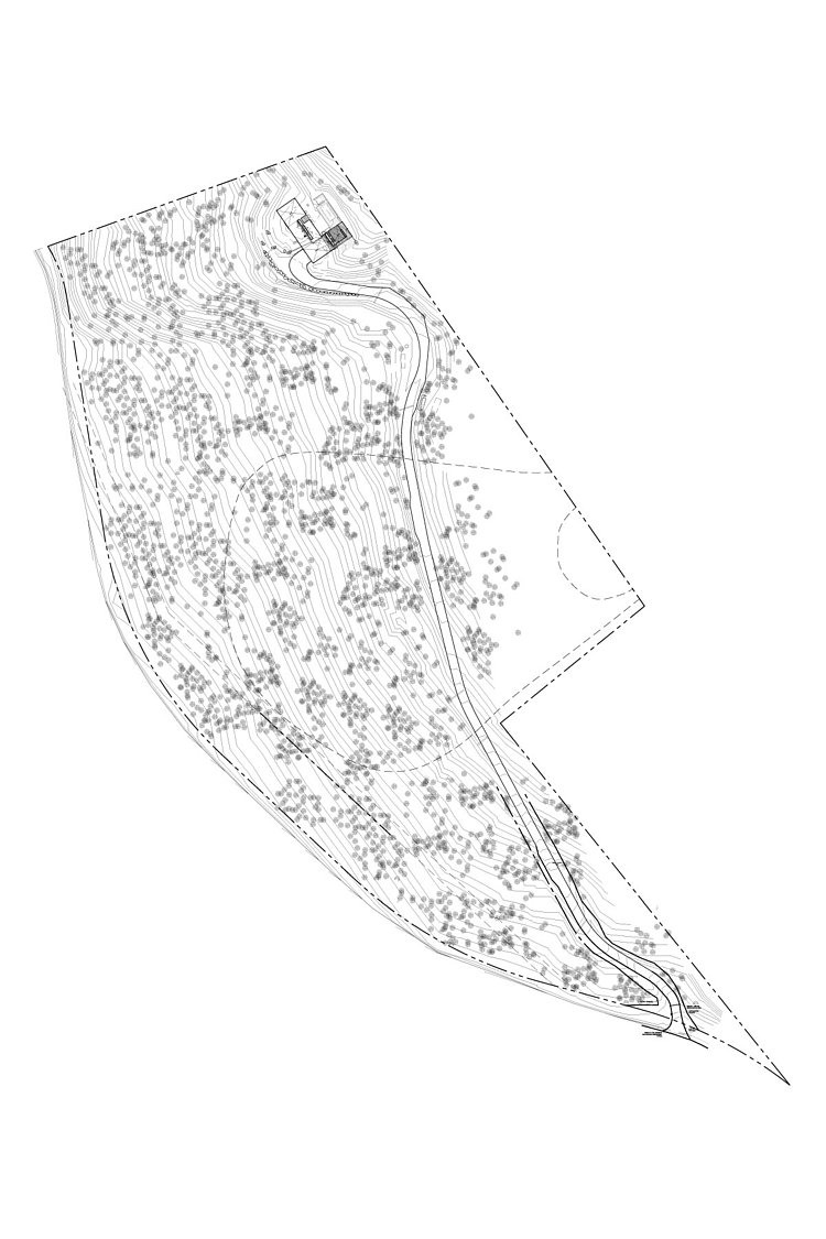 Linear House by Studio B Architects