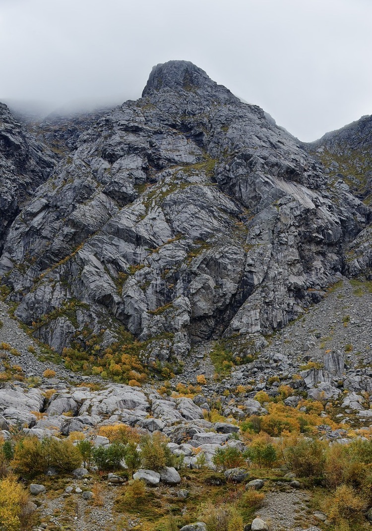 Vega Cottage by Kolman Boye Architects