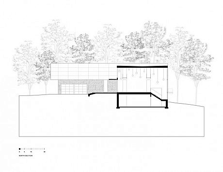 Riggins House by Robert M. Gurney