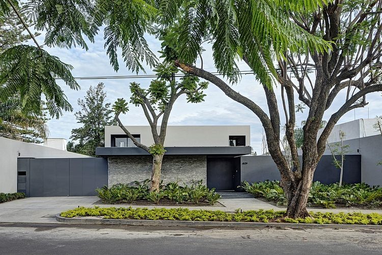 Casa LA by Elías Rizo Arquitectos