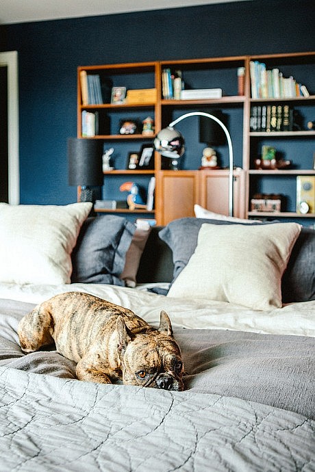 Chez Noz by Noz as a Service