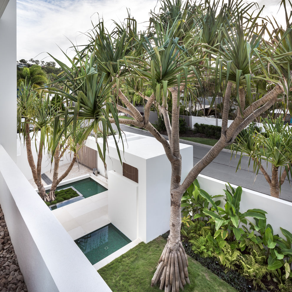 White Box by Tim Ditchfield Architects