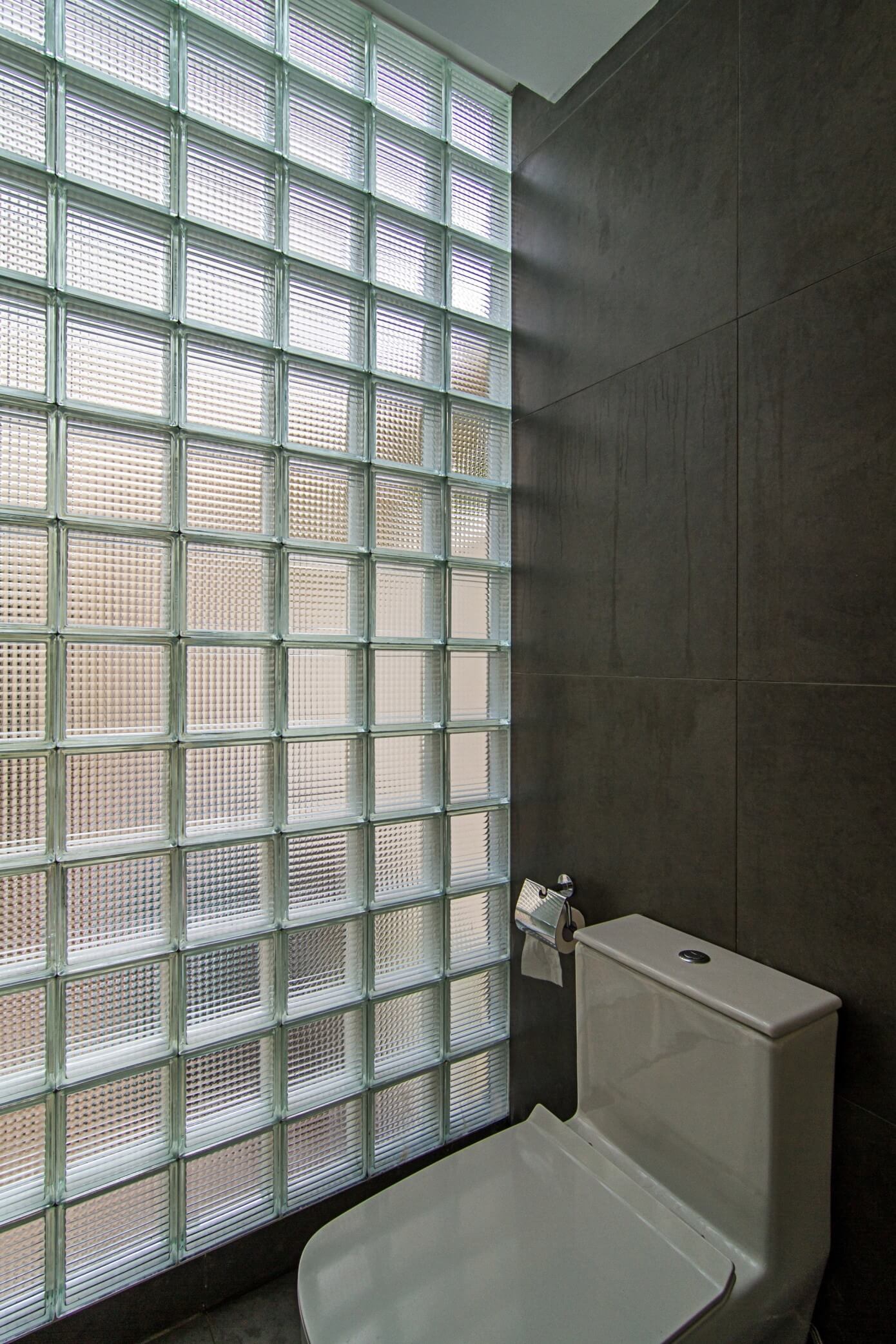 EPV House by AHL Architects & Associates