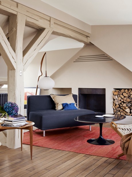 Seine Apartment by A+B KASHA Designs - 2