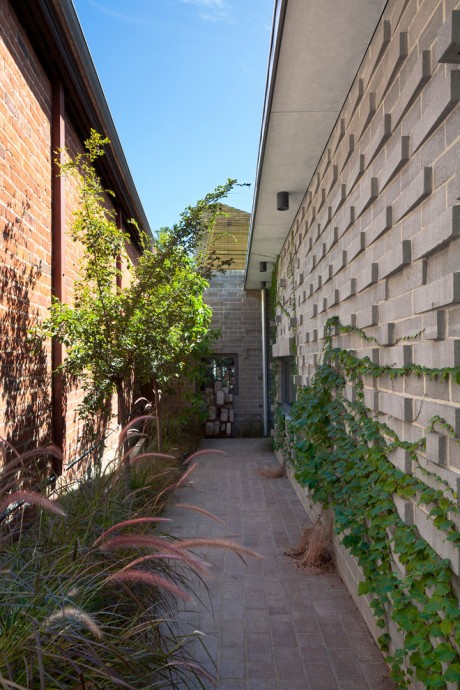 Pussy Galore by Create Agency - 7