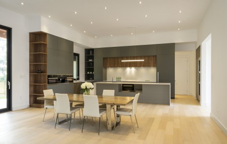 Park Ave House by Carrothers and Associates - 4