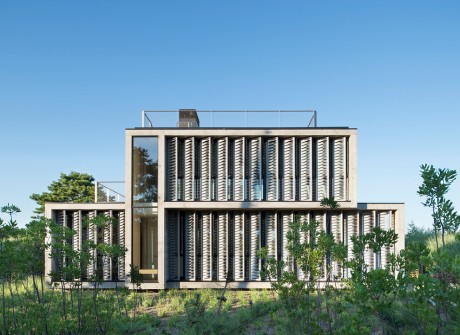 Amagansett Dunes by Bates Masi Architects - 2