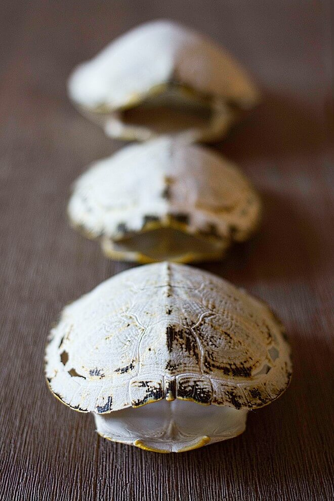 House in San Francisco by MAS Design