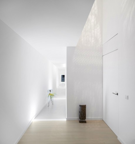 Texugueira House by Contaminar - 3