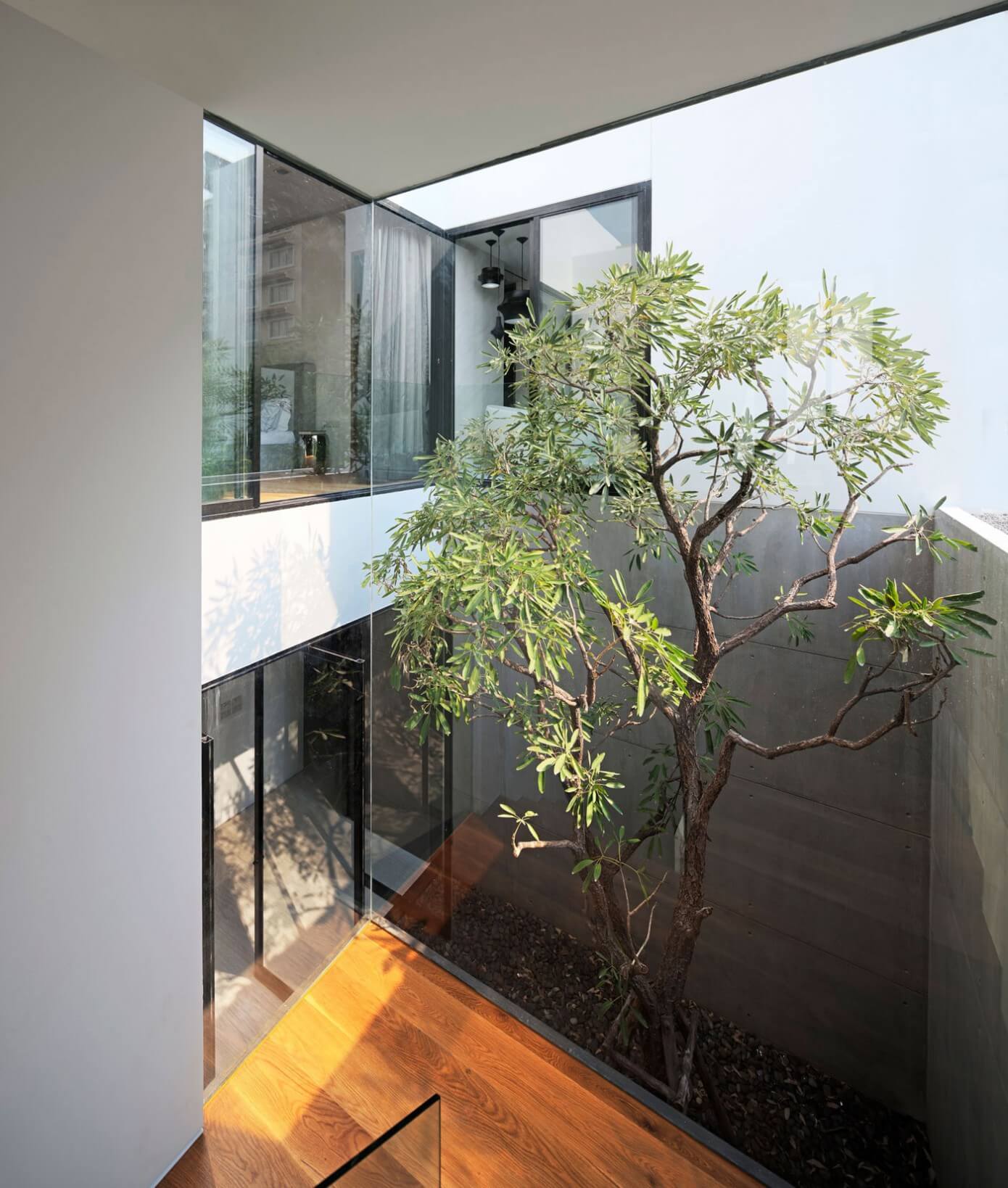 Contemporary House by Ayutt and Associates