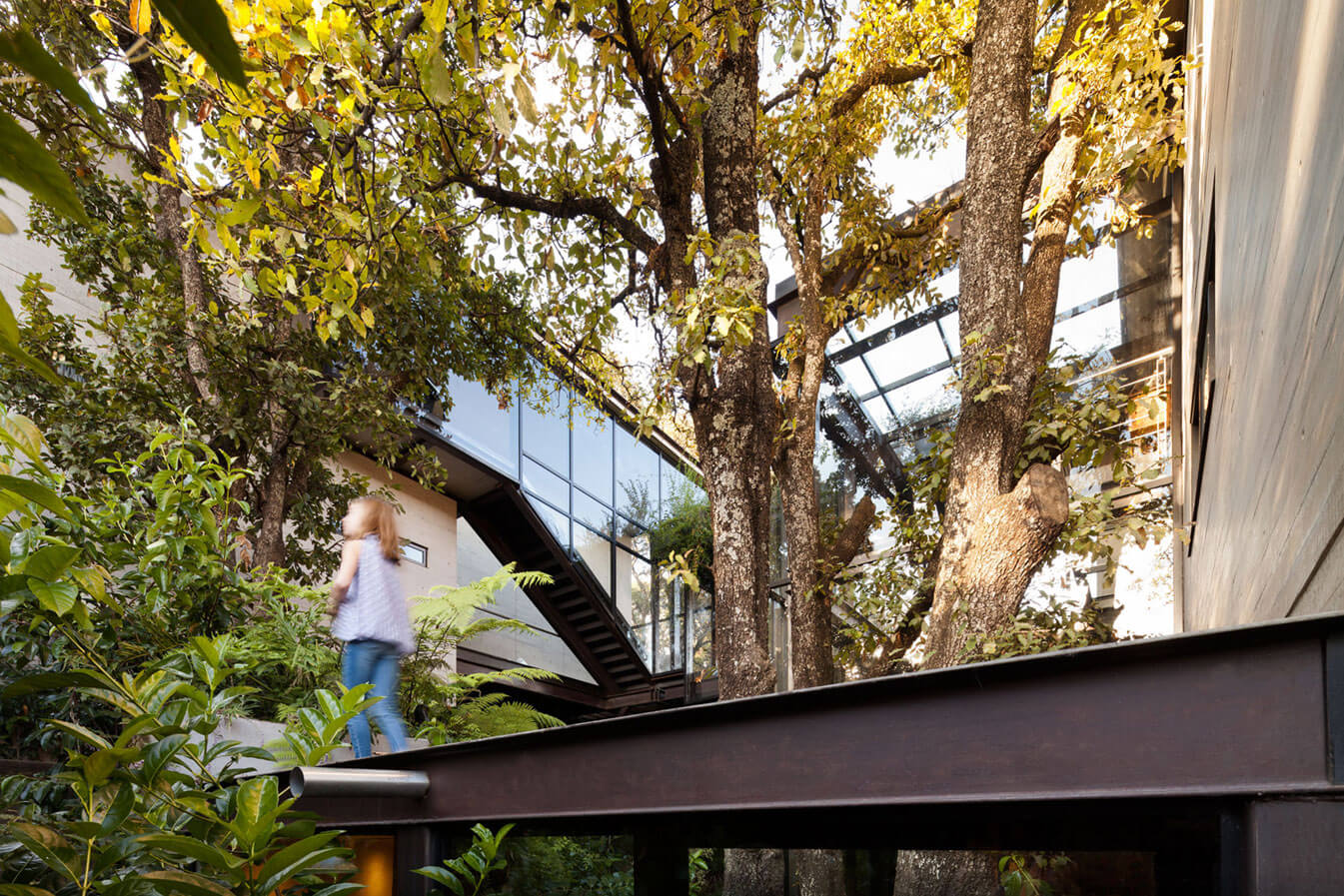 House in Mexico City by Grupoarquitectura