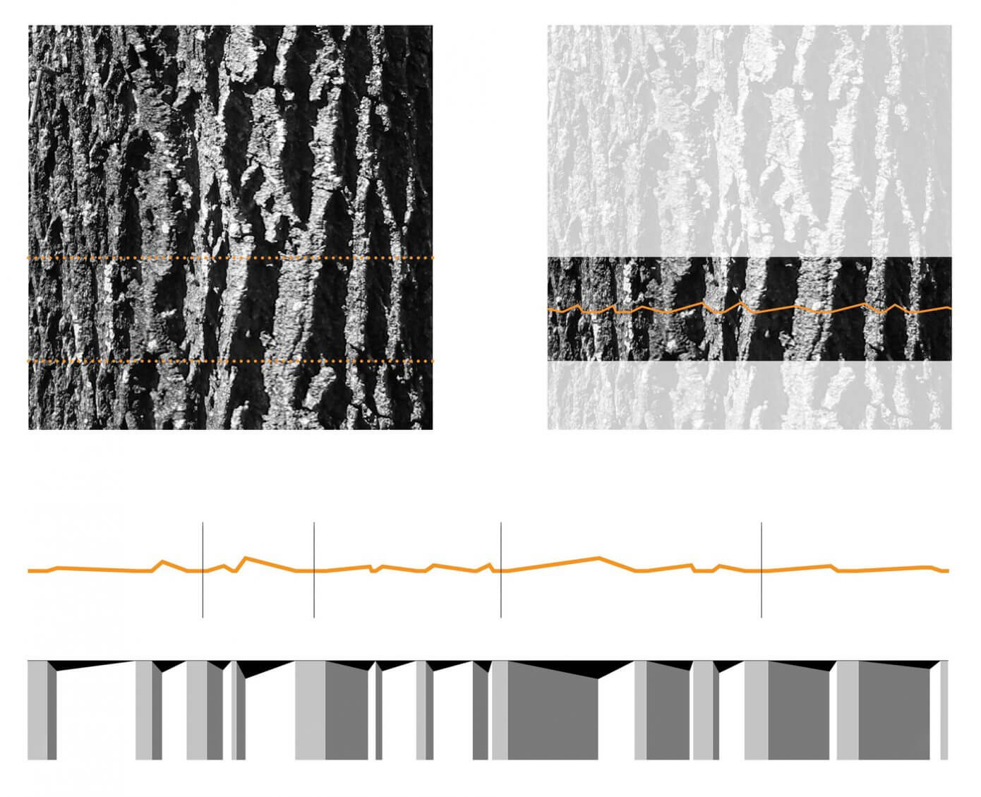 Door County Home by Johnsen Schmaling Architects