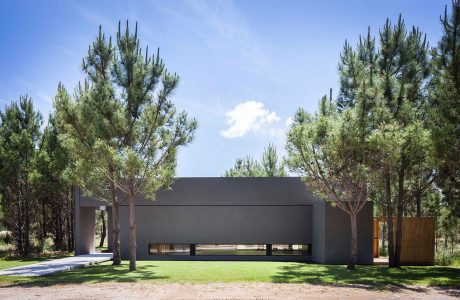 A modern, minimalist black building with large windows surrounded by pine trees.