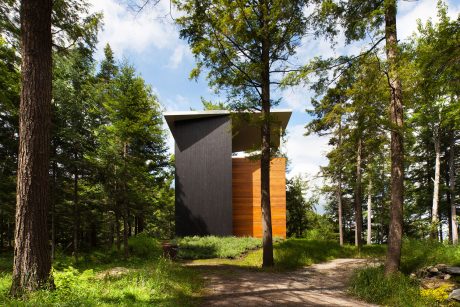 Modern, angular wooden structure with black exterior amid lush, forested landscape.