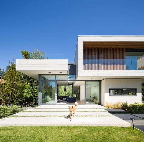 Modern, minimalist home with sleek glass walls, wooden slat accents, and a dog in the foreground.