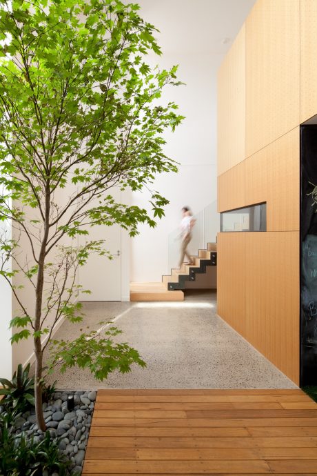A modern interior with a natural wood staircase, a large tree, and a smooth concrete floor.