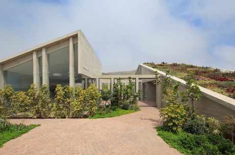 Modernist concrete structure with lush rooftop garden and paved walkway.