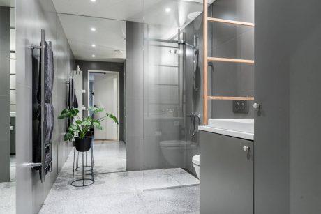 Sleek, modern bathroom with glass shower enclosure, minimalist vanity, and potted plant accent.