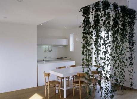 A modern kitchen-dining space with a striking hanging plant feature and minimalist design.