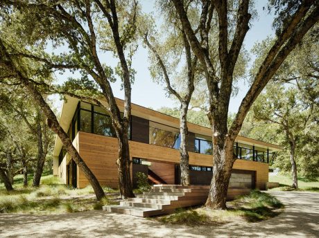 A modern, wooden home nestled between large trees with a prominent staircase leading to the entrance.