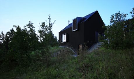 A modern, angular black house nestled among lush, forested surroundings.