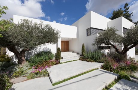 A modern, minimalist exterior with clean lines, olive trees, and lush landscaping.