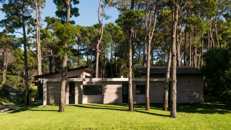 A modern, low-profile house nestled among tall pine trees with a lush, grassy lawn.