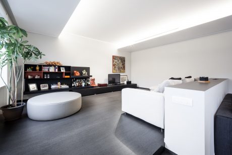 Modern, minimalist living room with sleek, built-in shelves, white furnishings, and a large potted plant.