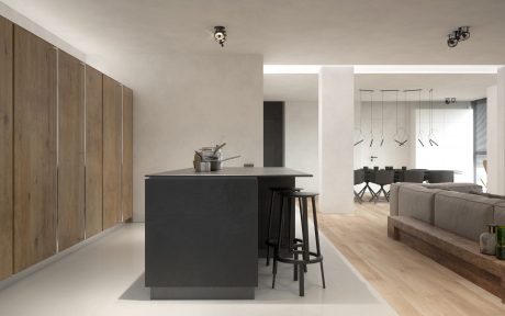 Minimalist kitchen with dark cabinets, wooden accents, and an open floor plan.