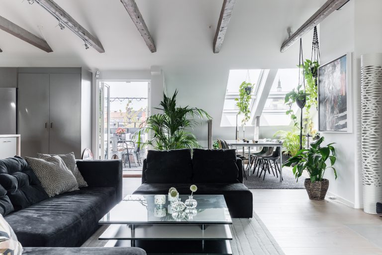 Bright, open loft-style interior with exposed beams, clean lines, and lush greenery.