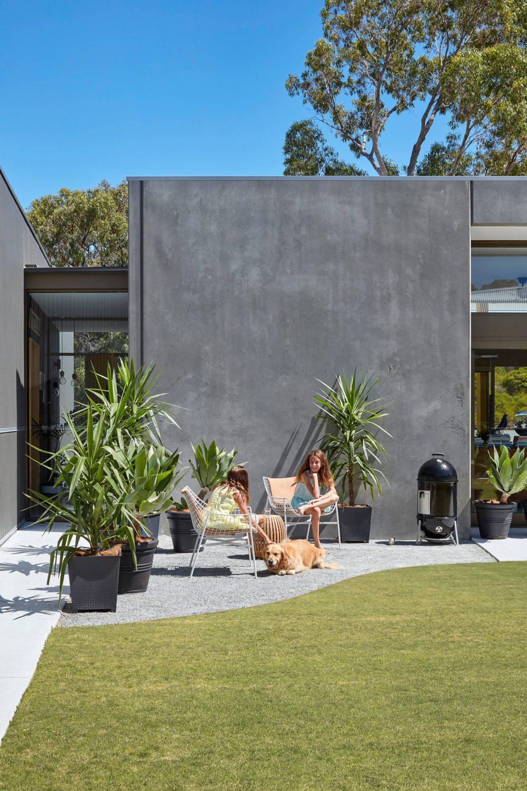 Modern concrete exterior with lush greenery, comfortable seating, and a dog, creating a relaxing outdoor oasis.