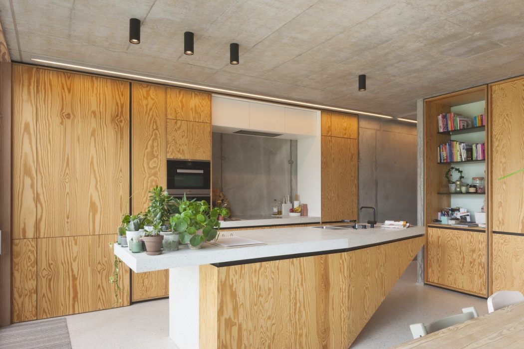 Modern kitchen with sleek wood paneling, industrial lighting, and potted plants.