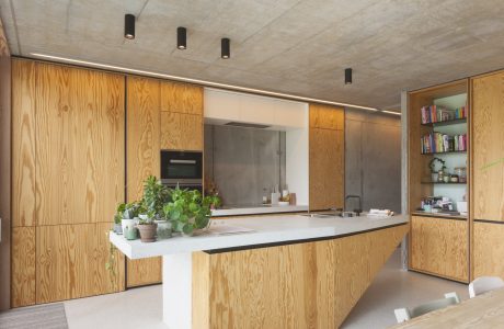 Modern kitchen with sleek wood paneling, industrial lighting, and potted plants.