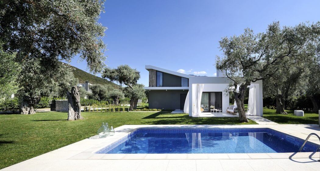 Modern minimalist villa with sleek architectural design, surrounded by lush olive trees and an inviting swimming pool.