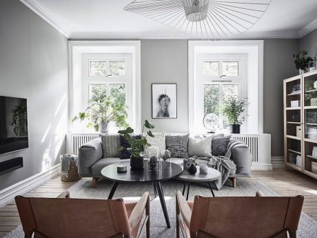 Cozy living room with large windows, gray walls, and modern furniture.