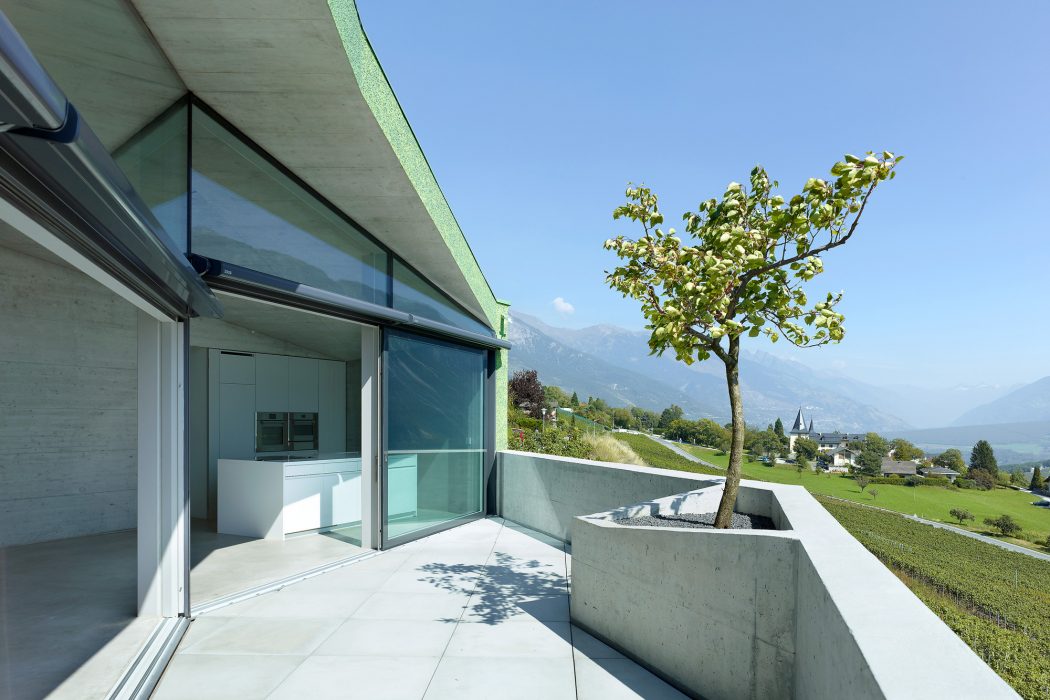 Modern architecture with glass walls, concrete planter, and scenic mountain views.