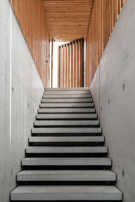 Concrete staircase with wooden slat ceiling and wall panels, creating a modern, minimalist aesthetic.