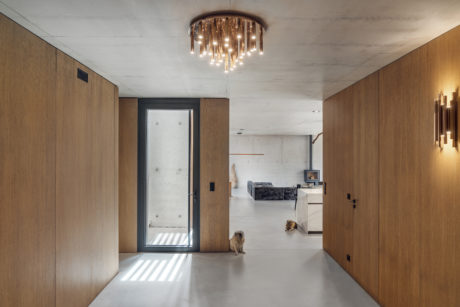 A modern interior with wood paneling, a grand chandelier, and a dog in the foreground.
