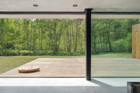 Expansive glass wall frames a verdant forest landscape, with a wooden deck and minimal furnishings.